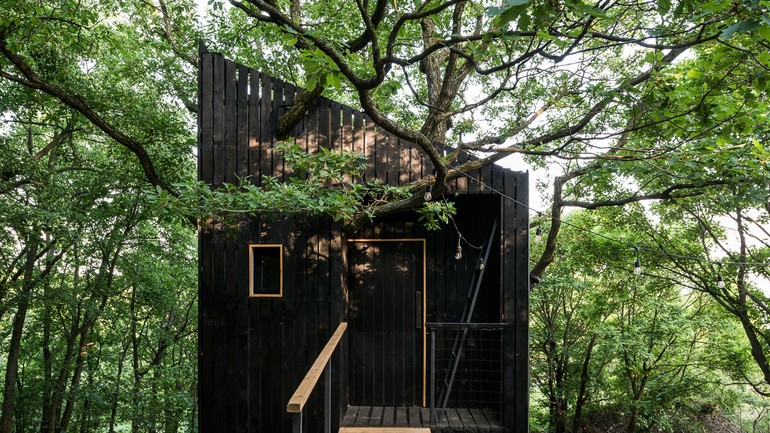 DuboDom vo Svätom Jure