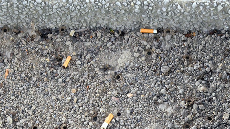 V kvetináčoch pod mostom sú včely, zoológovia radia ich tam nechať - diery_vcely1