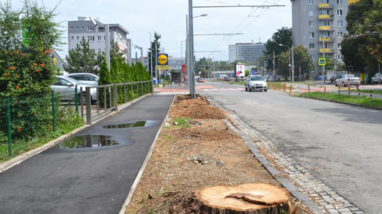 Proti výrubu na trenčianskej sa ružinov mohol odvolať, no starosta to neurobil - trencianska2