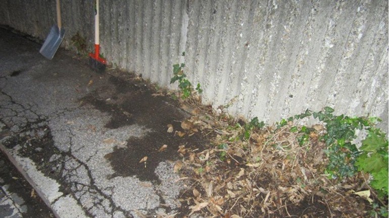 Pri upratovaní našli granát z druhej svetovej vojny! - 001