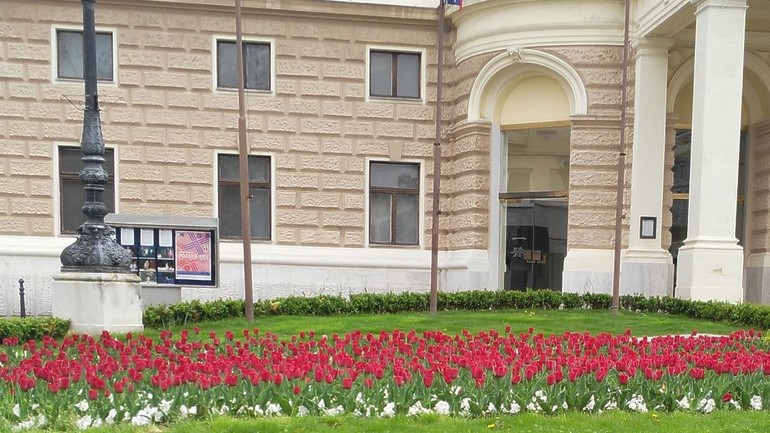 Výsadba  kvetov Staré Mesto