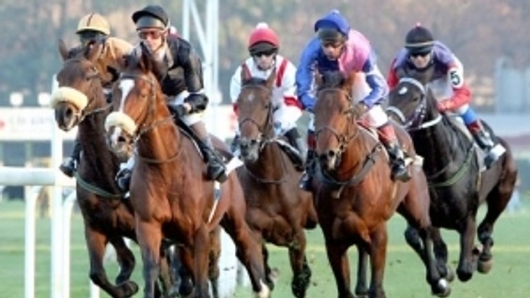 Na závodisku budú 26. augusta jazdiť amazonky - Amazonky