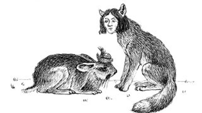 Zakliati zaľúbenci – zajac s poľovníckym klobúkom a líška s ľudskou tvárou vraj behajú po lese - ZAjac a líška