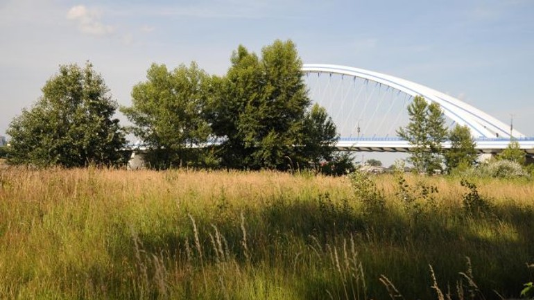 Primátora žiadajú o pomoc pri obnove lida - lido_sucanost