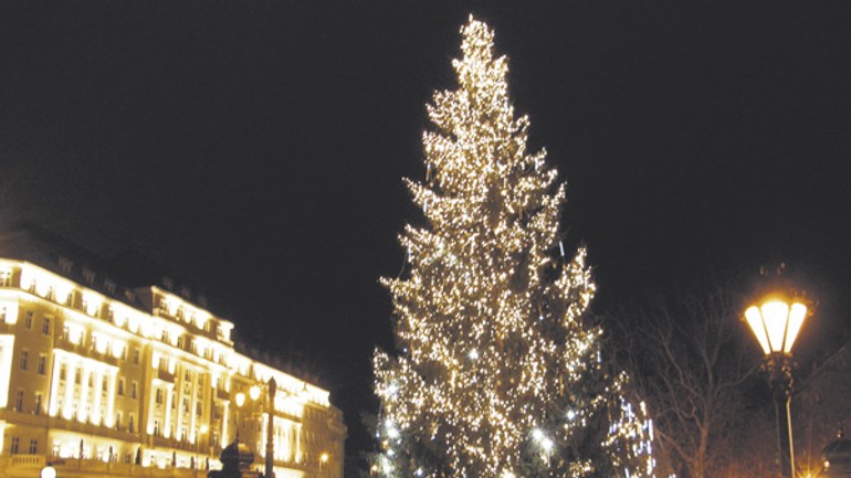 Staromestské trhy zdobí najvyšší strom - Strom hviezdko1