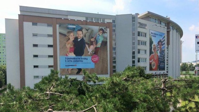 Poškodené stromy pri panónskej ceste bude treba nahradiť - panonska_borovice