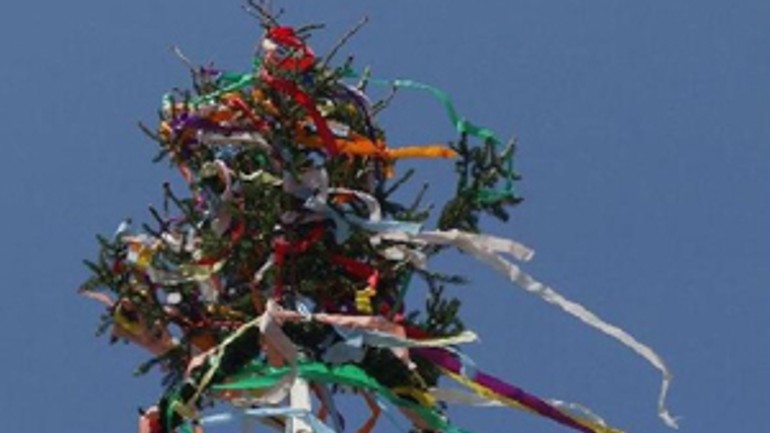 Bystričania v rámci osláv postavia aj máj - maj_stavanie