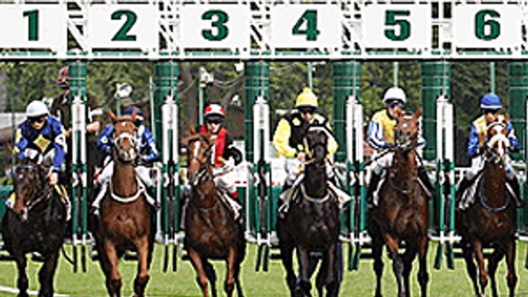 Dostihovová sezóna sa začne už túto nedeľu - Dostihy