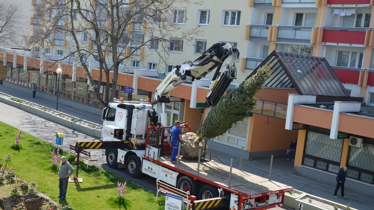 Sadenie stromov vo Vrakuni