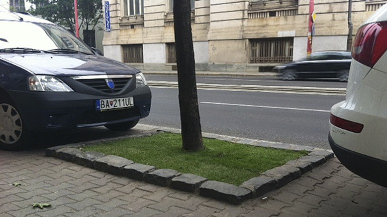 Dobrovoľníci v stredu skrášlili vajanského nábrežie - Vajanskeho5