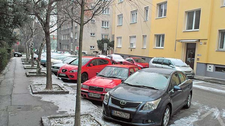 Zo staromestských ulíc už miznú drevené koly, ktoré chránili stromy - povraznicka