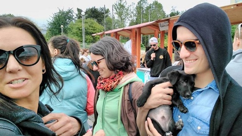 Akcia nájdite sa mala úspech. nový domov si našlo 20 psíkov - 18581501_1354782654587385_8384014746558661400_n