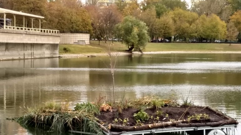 Nový osadený ostrovček na Štrkovci