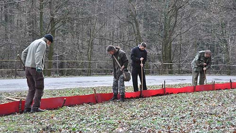 Nemáte program na sobotu? na železnej studienke môžete zachrániť život žabám - zelezna