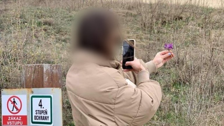 Dievča fotiaca kosatec na Sandbergu