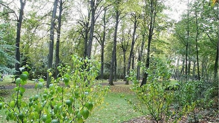 Pohrebných miest je málo - aké sú iné možnosti pochovávania? - Cintorinovy les