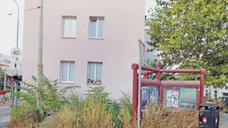 Palisády vyčistili, ale na priestor patriaci ministerstvu akosi zabudli - zamocka