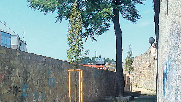 Hradby nie sú miestom pre stromy! - pamatnik_201512_1