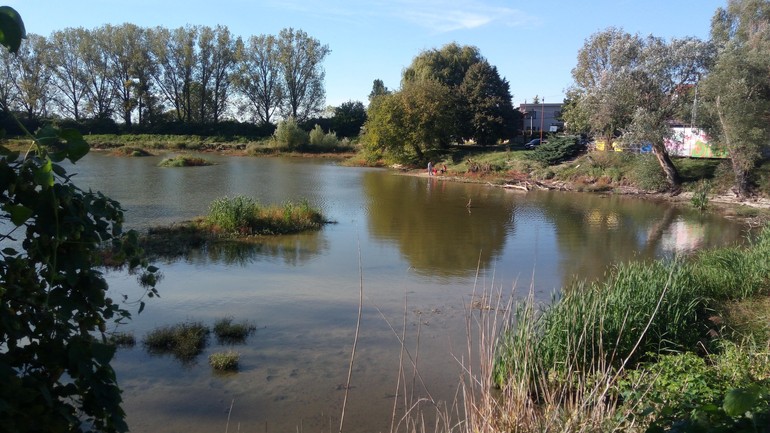 Rybník v Devínskej Novej Vsi