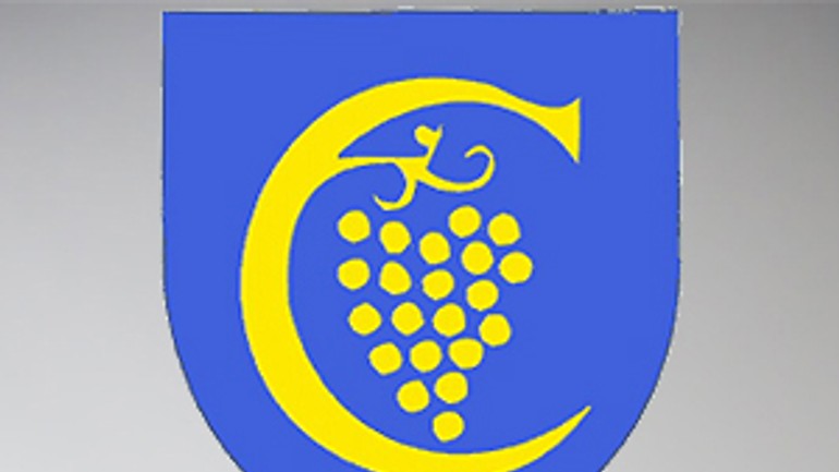 Športové kluby si rozdelia 35-tisíc eur - znak_karlovaves