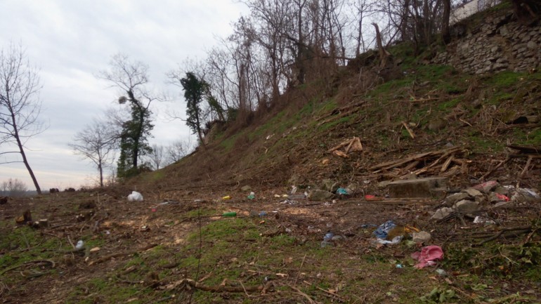 Vydrica - výrub stromov