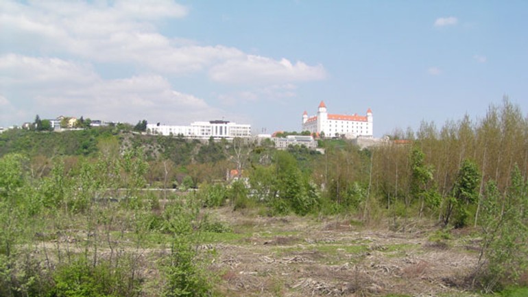 Boj o pečniansky les stále pokračuje - Pecniansky2