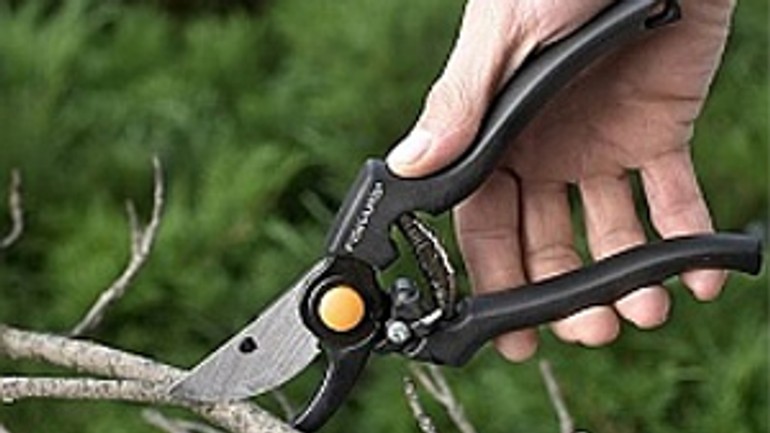 Bežca-záhradníka môžu obviniť len pri čine - Ker strihanie