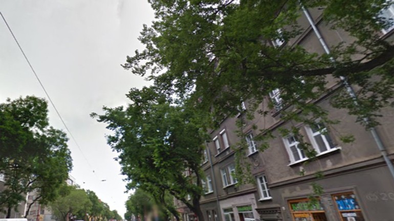 Na osvetlenú vajnorskú si ešte počkajú - vajnorska_stromy