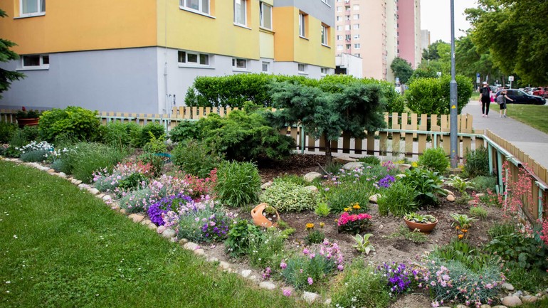 predzáhradka Petržalka