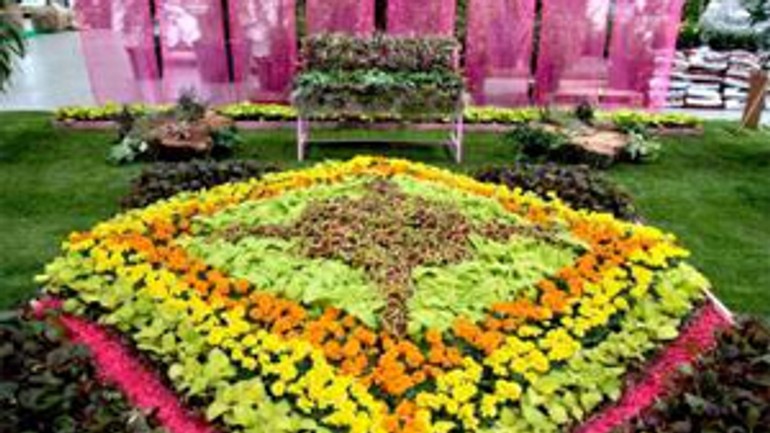 Do nedele bude medzinárodný veľtrh kvetín flóra bratislava - Flora 2012