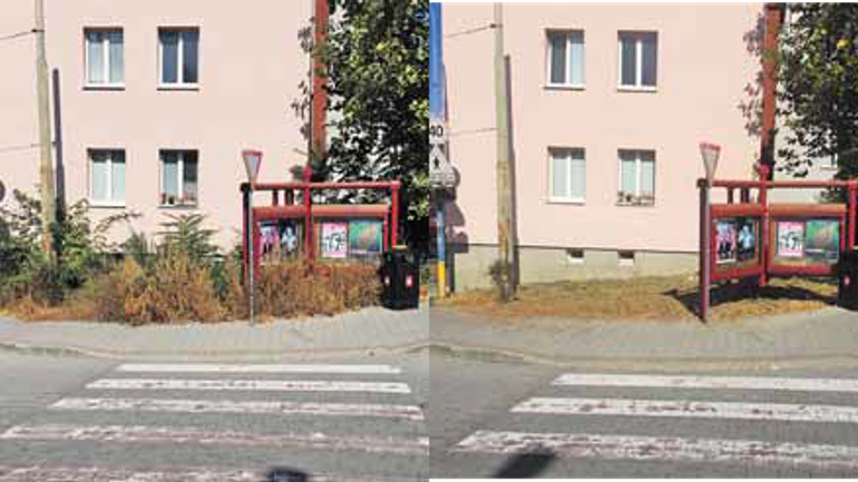 Na palisádach je už krajšie, priestor vedľa zámockej pokosili a vyčistili - palisady