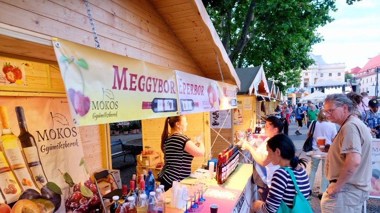 Týždeň maďarskej kultúry