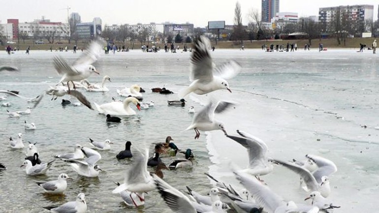 Po jazerách možno zamrzne aj dunaj - Strkovec1