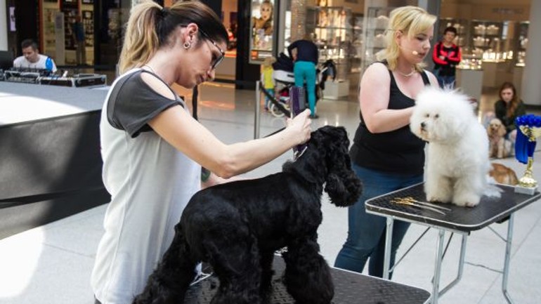 Pripravte sa na „uštekanú“ sobotu v bory mall - _MG_8292