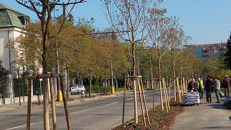 Vyrúbanú alej pri námestí slobody už nahradili nové stromy - IMG_20170410_085443