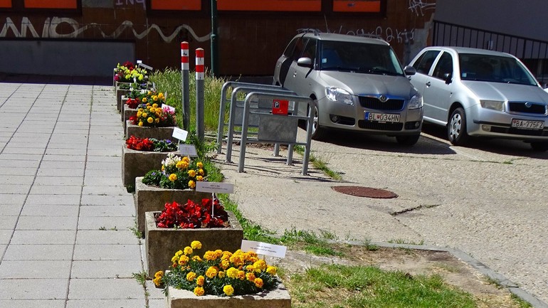 Adoptuj si kvetináč - Karlova Ves