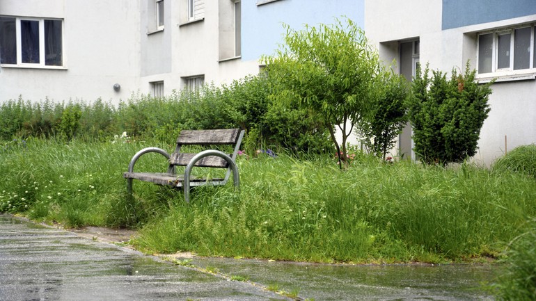 Nepokosený trávnik