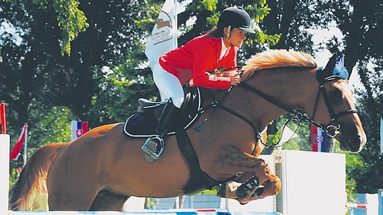Na grand prix bratislava sa predstaví 190 koní a 92 jazdcov - Grand prix