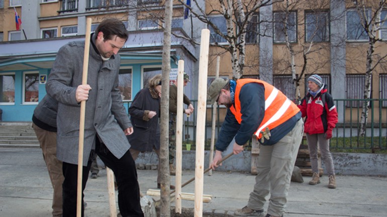 Na račianskej ulici vysadia nové stromy - racianska_stromy1