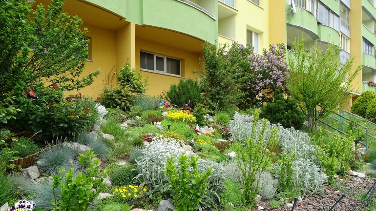 predzáhradka na Majerníkovej 36