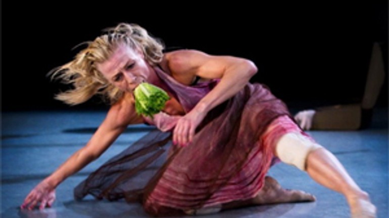 Festival pro-téza uvedie tanečnú hviezdu zo švédska - Proteza1