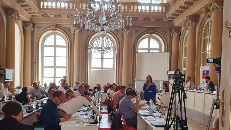 Mestské zastupiteľstvo