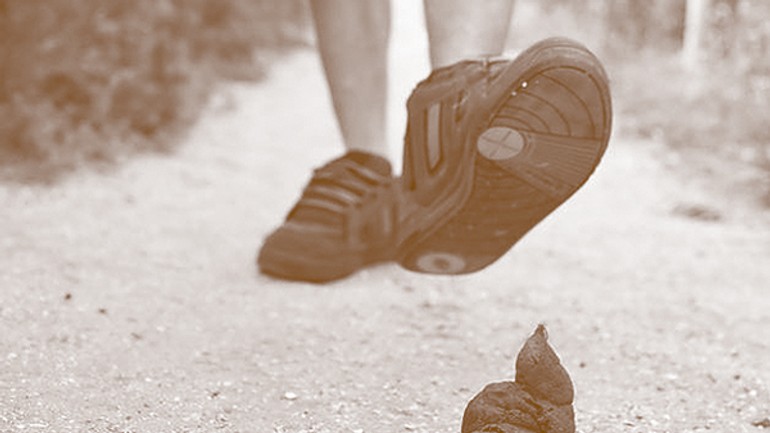 Názor: zodpovednosť za to, čo je moje - pes_vykal