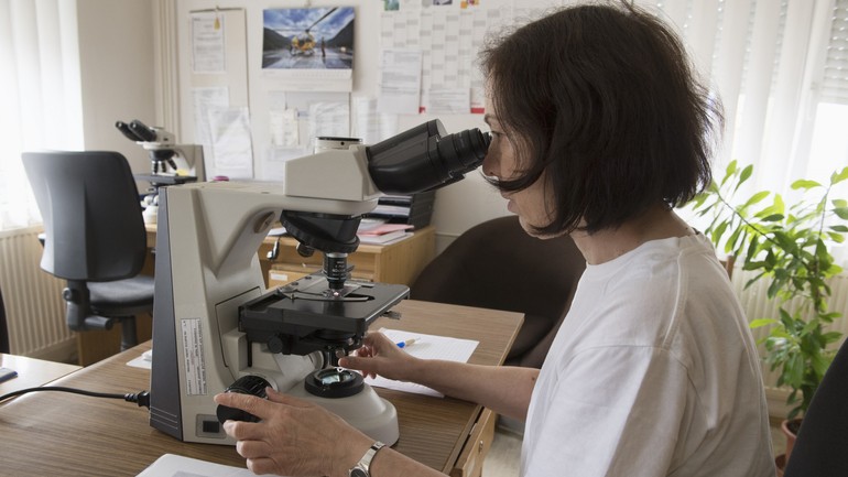 Peľ - laborantka Katarína Gregušová pri sledovaní situácie