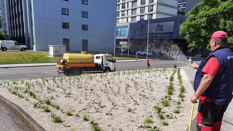 Dažďová záhrada Ružinov