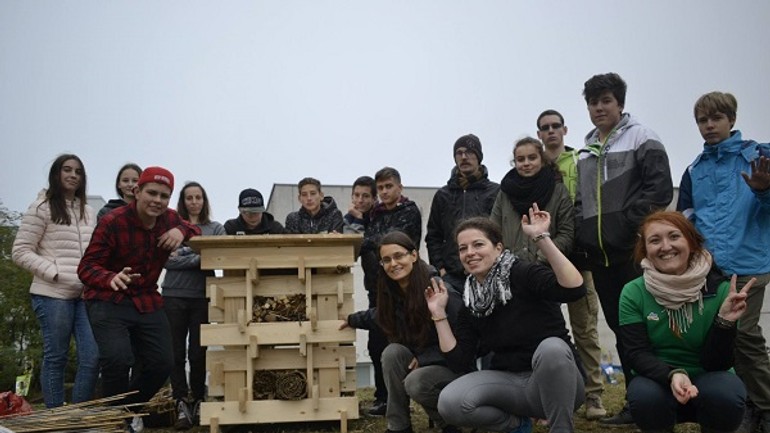 V karlovej vsi aj v novom meste budú mať mestské včely! - Včely1