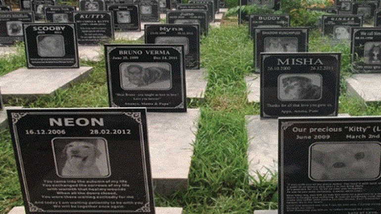 Bude cintorín pre zvieratá už na jar v dúbravke? - Cintorin zvierat