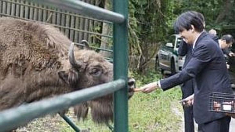 Japonského princa zaujali v bratislavskej zoo zubry - princ_zubor1