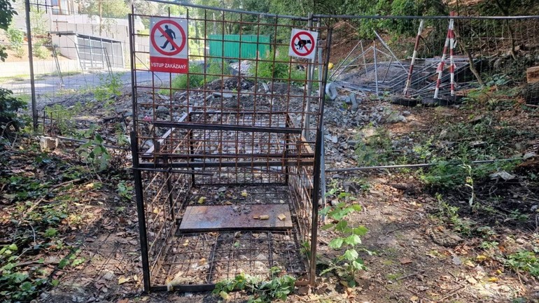 špeciálne klietky na odchyt diviakov