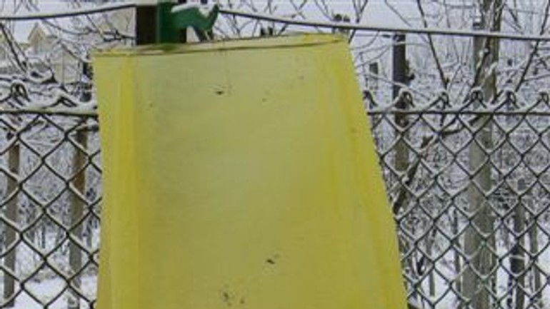 Niektoré balóny šťastia pristáli aj v rači - Balon1